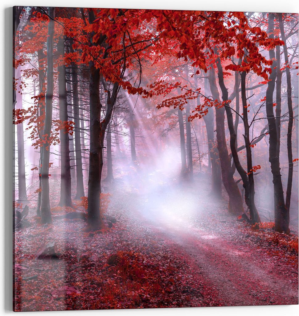 DEQORI Glasbild Echtglas 50x50 cm 'Roter Blätterwald' Wandbild Bild modern Deko