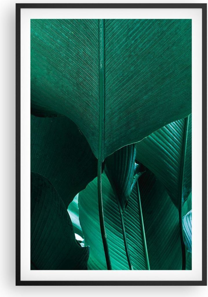 Gerahmtes Poster - Schwarzer Rahmen - Blätter Palmen Banane - 61x91,5 cm - Wand Bild - Wanddeko - Wandbilder - Kunstposter - Wandposter - Bilderra...