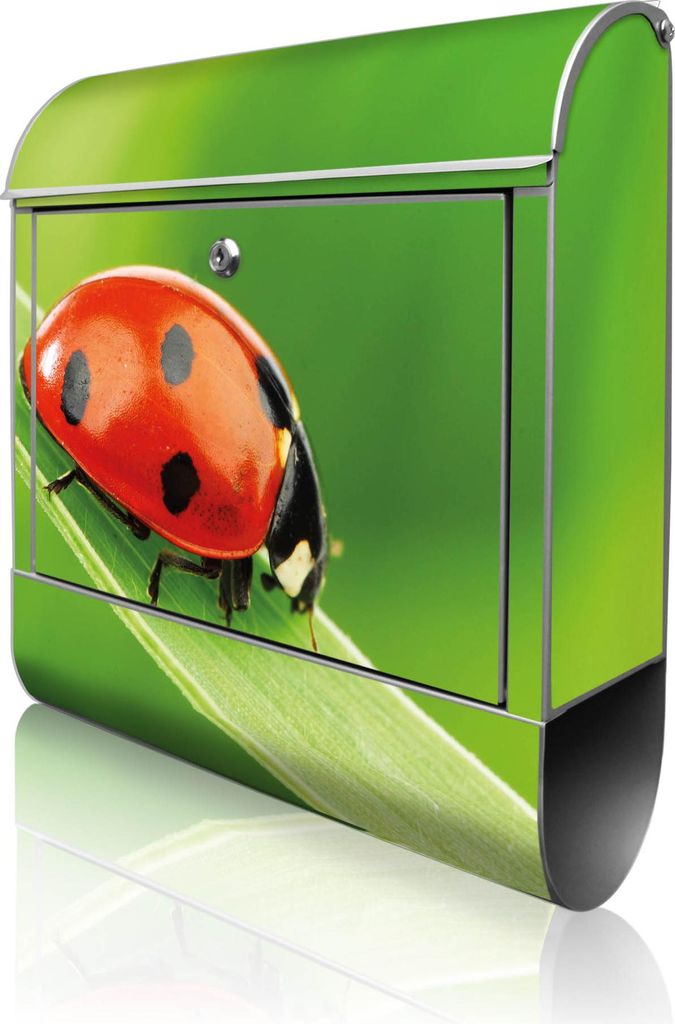 A mailbox with a ladybug design.