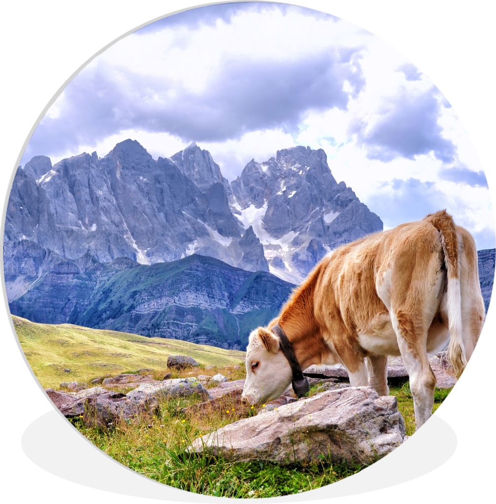MuchoWow Rundes Wandbild - Runde Bilder Alpen - Kuh - Berg Ø 60 cm Kreis Wanddekoration Kunststoff - Wandkreis - Wandschmuck - Wand Kreis - Das ...