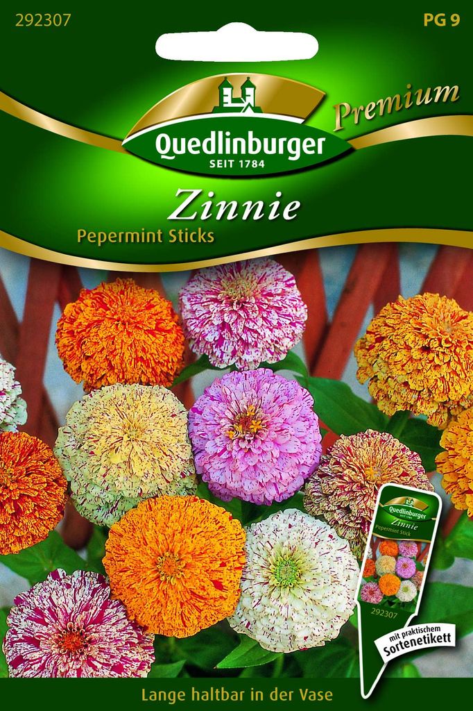 Zinnien Pepermint Sticks | Zinniensamen von Quedlinburger Produktbild 