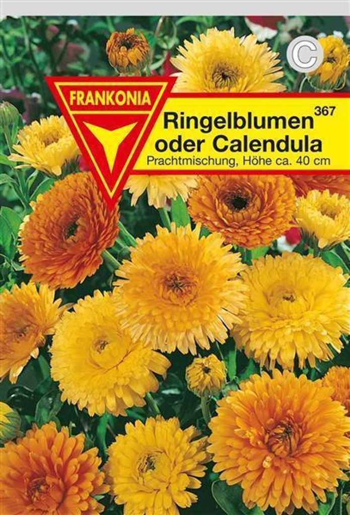 Ringelblume Prachtmischung Produktbild 