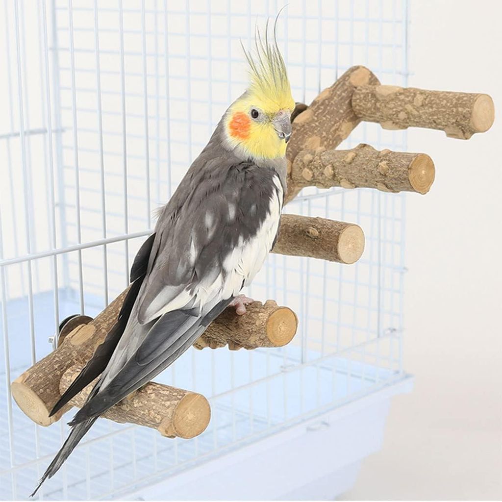 Leiter und Kletterbrücke aus Naturholz für Vogelkäfige (Papageien, Sittiche, Conures)