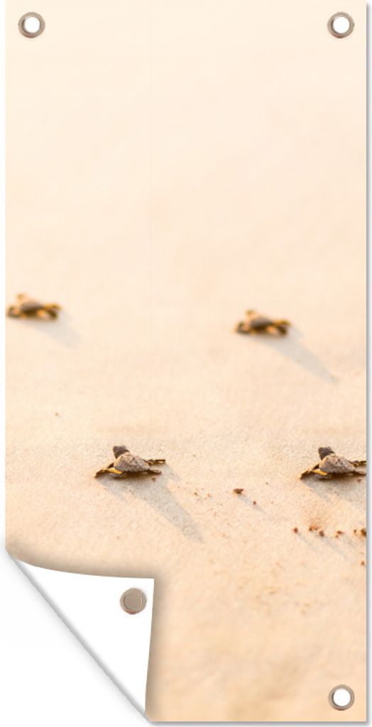 MuchoWow 40x80 cm Outdoor-Poster Gartendeko Sichtschutz Garten Poster für den Garten Baby-Schildkröten Fotodruck