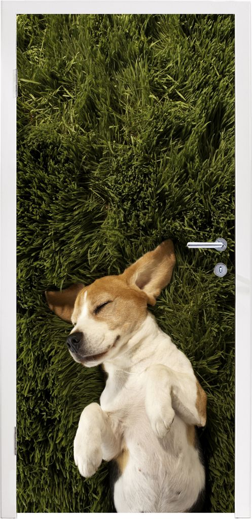 MuchoWow Türtapete Selbstklebende Türfolie Im Gras schlafender Hund 85x215 cm Türposter Türaufkleber Klebefolie Türklebefolie - Aufkleber f...