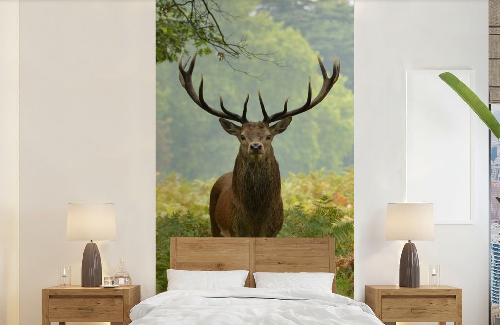 MuchoWow Fototapete für Wohnzimmer oder Schlafzimmer Wandtapete Vinyl Motivtapete Rothirsch - Natur - Grün - 120x240 cm - Hintergrundbild