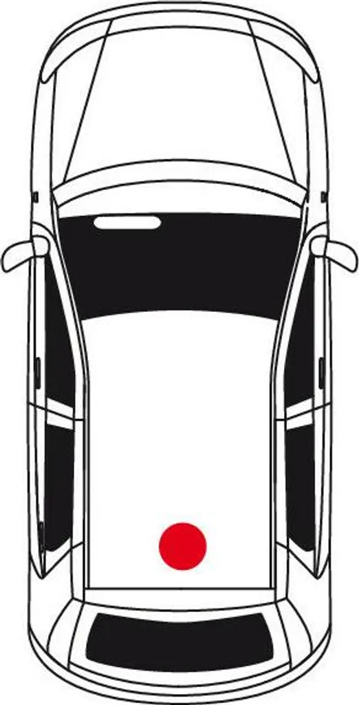 Antenna Auto Lampa 30 cm - Kit Ricambio Tetto Peugeot e Universale