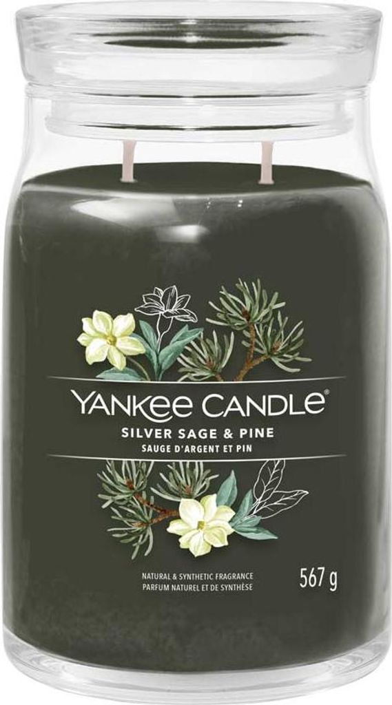 Yankee Candle Silver Sage & Pine Barattolo grande 567g Immagine del prodotto 