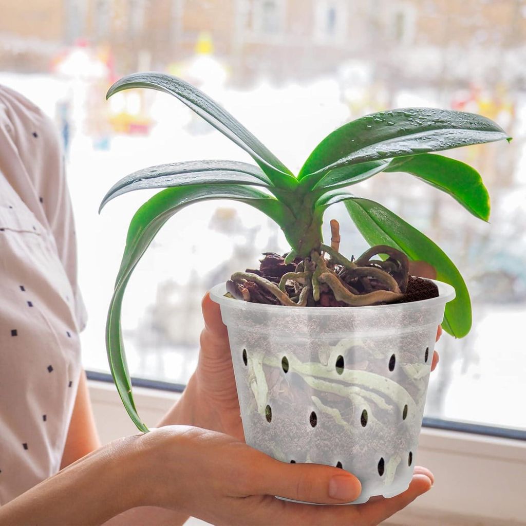 2er-Pack Orchideentöpfe 7 Zoll - durchsichtiger Kunststofftopf mit Löchern und Untersetzern - für Pflanzen und Umtopfen - Home Office und Garten...