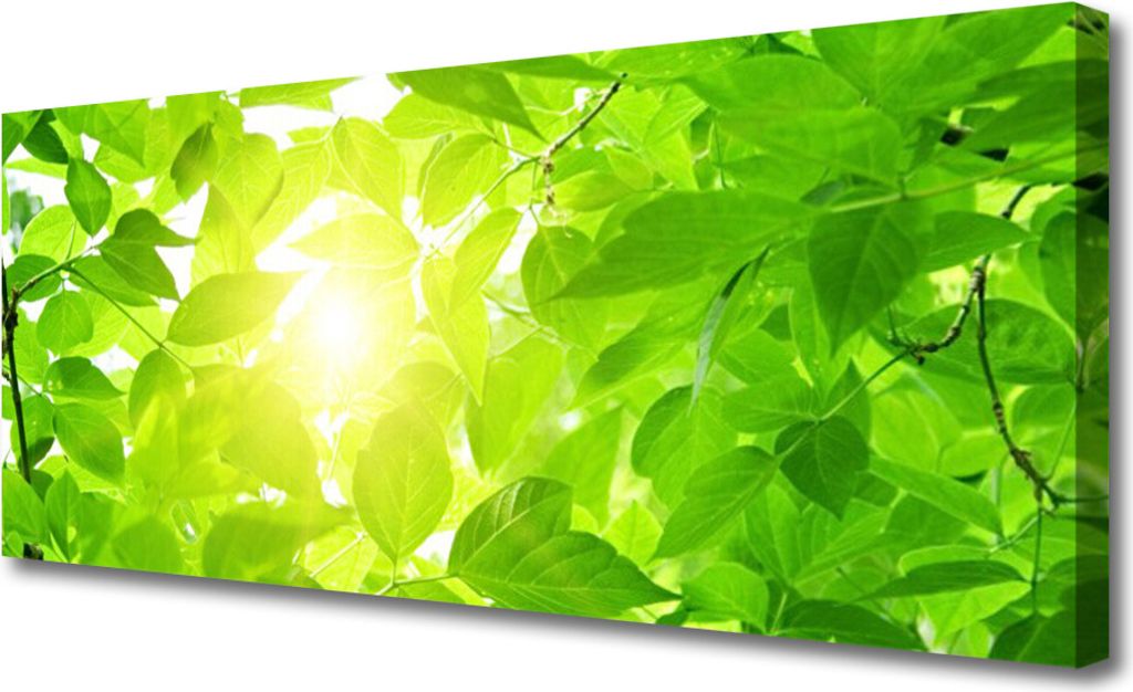 Tulup Leinwand-Bilder 125x50 Wandbild Canvas Kunstdruck Blätter Pflanzen