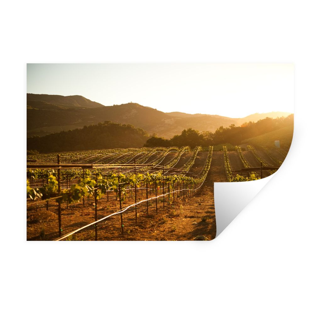 MuchoWow Wandtattoo Wandsticker Wandaufkleber Weinberg bei Sonnenuntergang 30x20 cm Selbstklebend und Repositionierbar - Wierderverwendbar - Selb...