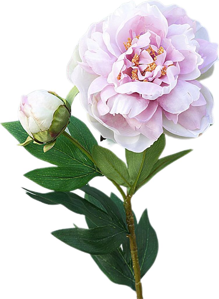 1pc künstliche Blume realistische einfache Pflege 2-Kopf Keine Fade Peony Fake Blume für Hochzeit-Pink Lila