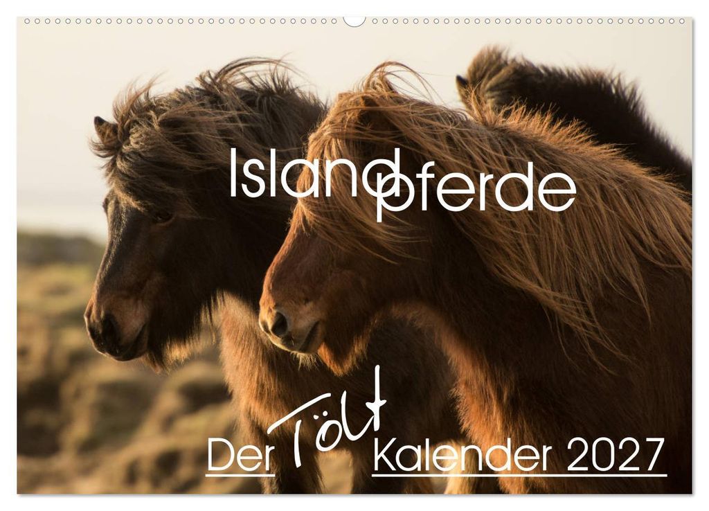 Islandpferde - Der Tölt Kalender (Wandkalender 2027 DIN A2 quer), CALVENDO Monatskalender