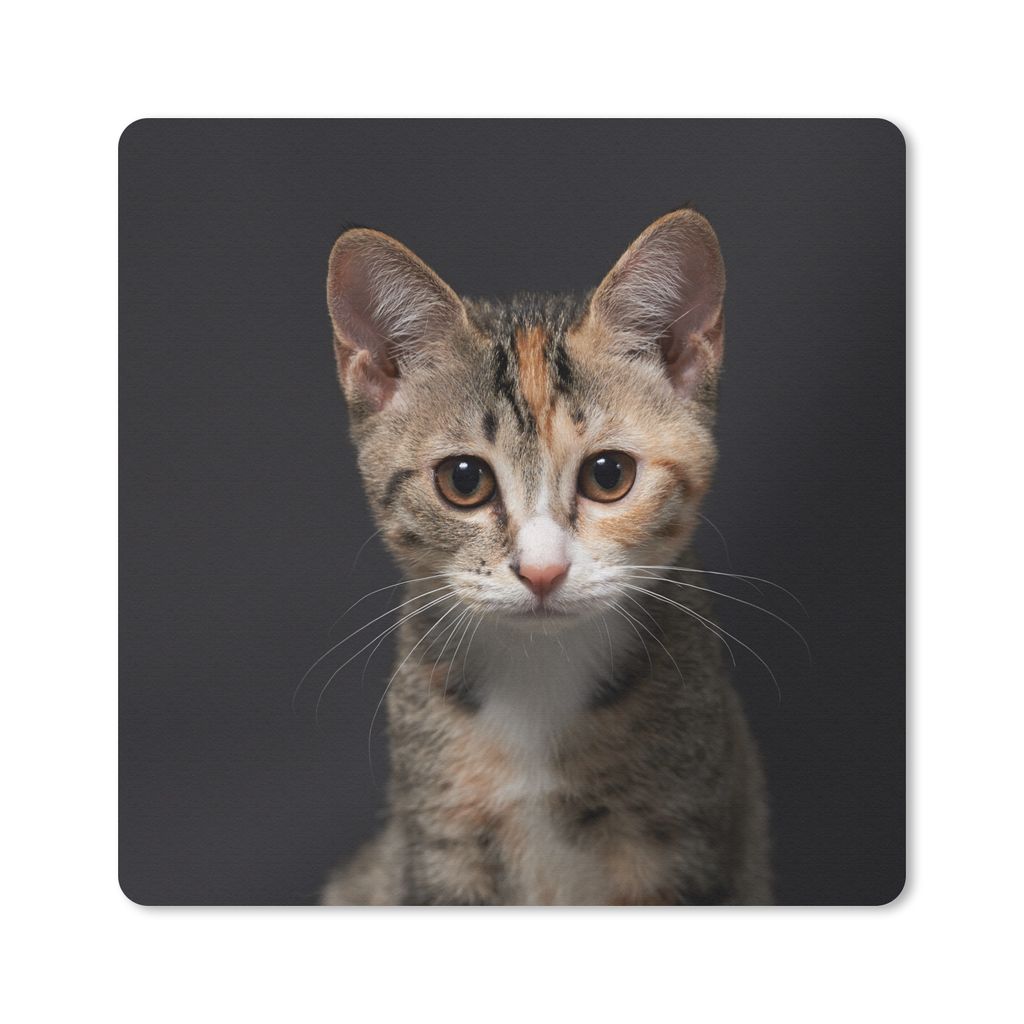 MuchoWow Mauspad Mousepad Katze - Schwarz - Porträt 30x30 cm - Mousepads - Maus Mat - Pad - Mausunterlage