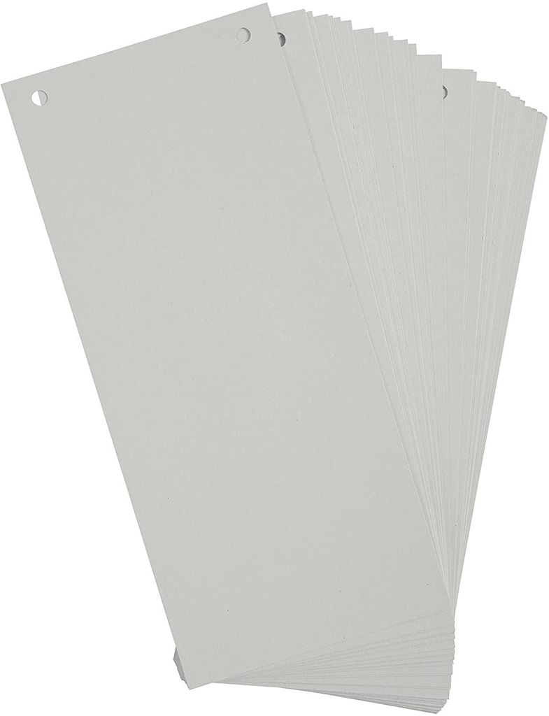 Exacompta 100er Pack Trennstreifen Karton 10,5 x 24 cm Grau Produktbild 
