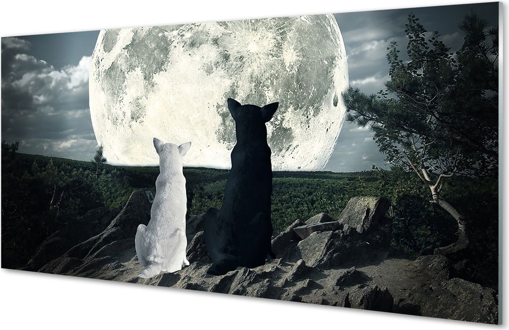 Spritzschutz 100x50 Wandkunst Wölfe Mond Wald