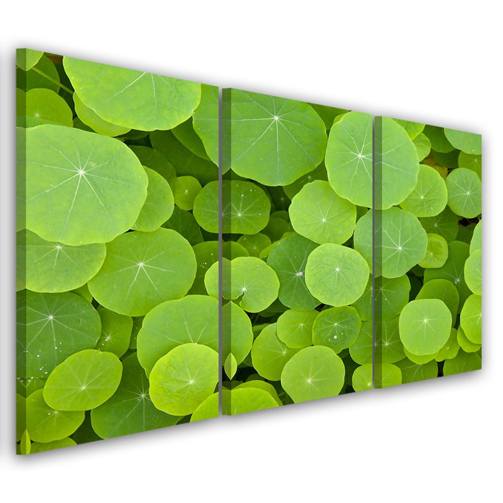 Triptychon auf leinwand natura grün 150x100 cm Feeby grün Produktbild 