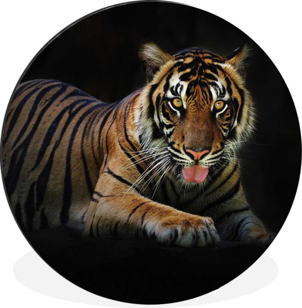 MuchoWow Aluminium Wandkreis Tiger - Schwarz - Rest Ø 90 cm Wanddeko Modern Wohnzimmer - Mauerkreis - Wandbilder - Runde Bild - Bild aus Alumini...