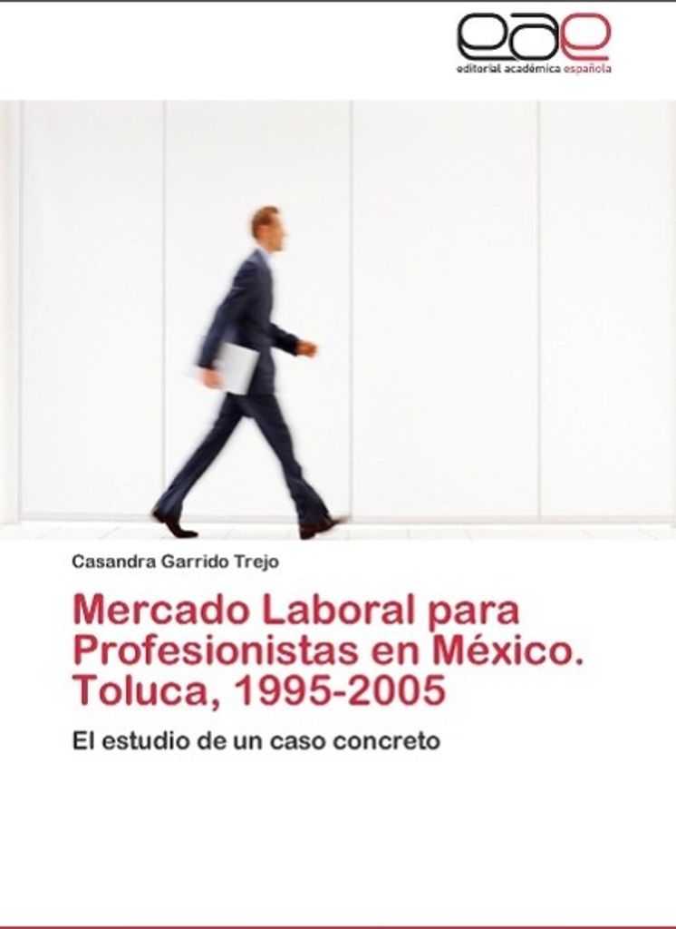 Mercado Laboral para Profesionistas en México. Toluca, 1995-2005