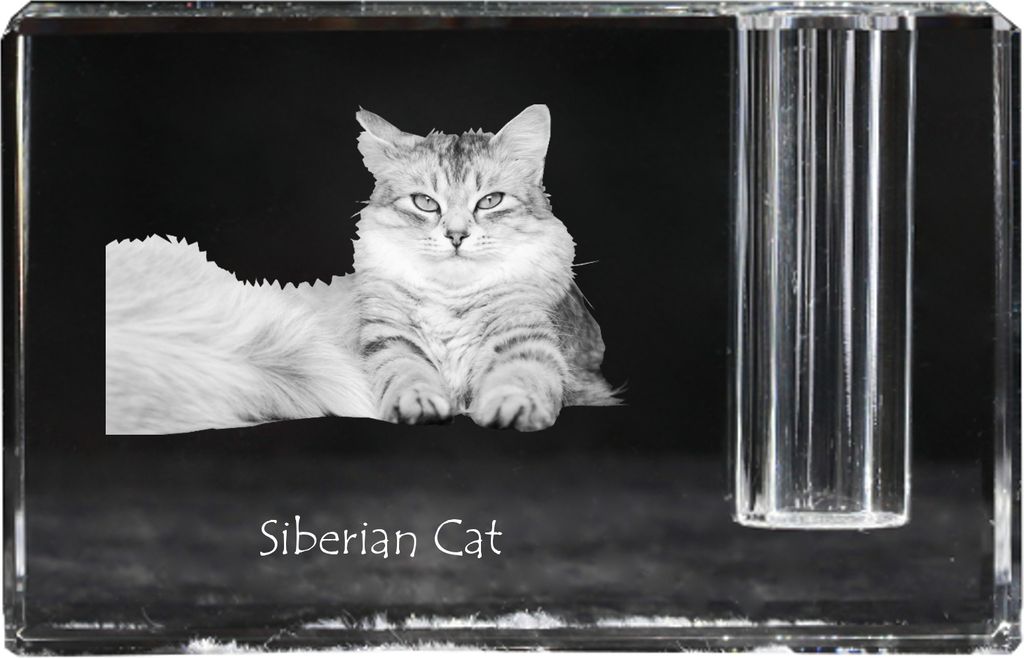 Sibirische Katze - Stifthalter, Kristallorganizer mit Katzenfoto, einzigartige Schreibtischdekoration der Marke Art-Dog