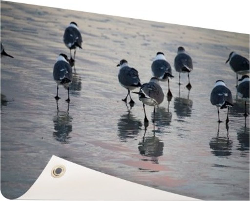 MuchoWow 60x40 cm Outdoor-Poster Gartendeko Sichtschutz Garten Poster für den Garten Möwe - Wasser - Vogel