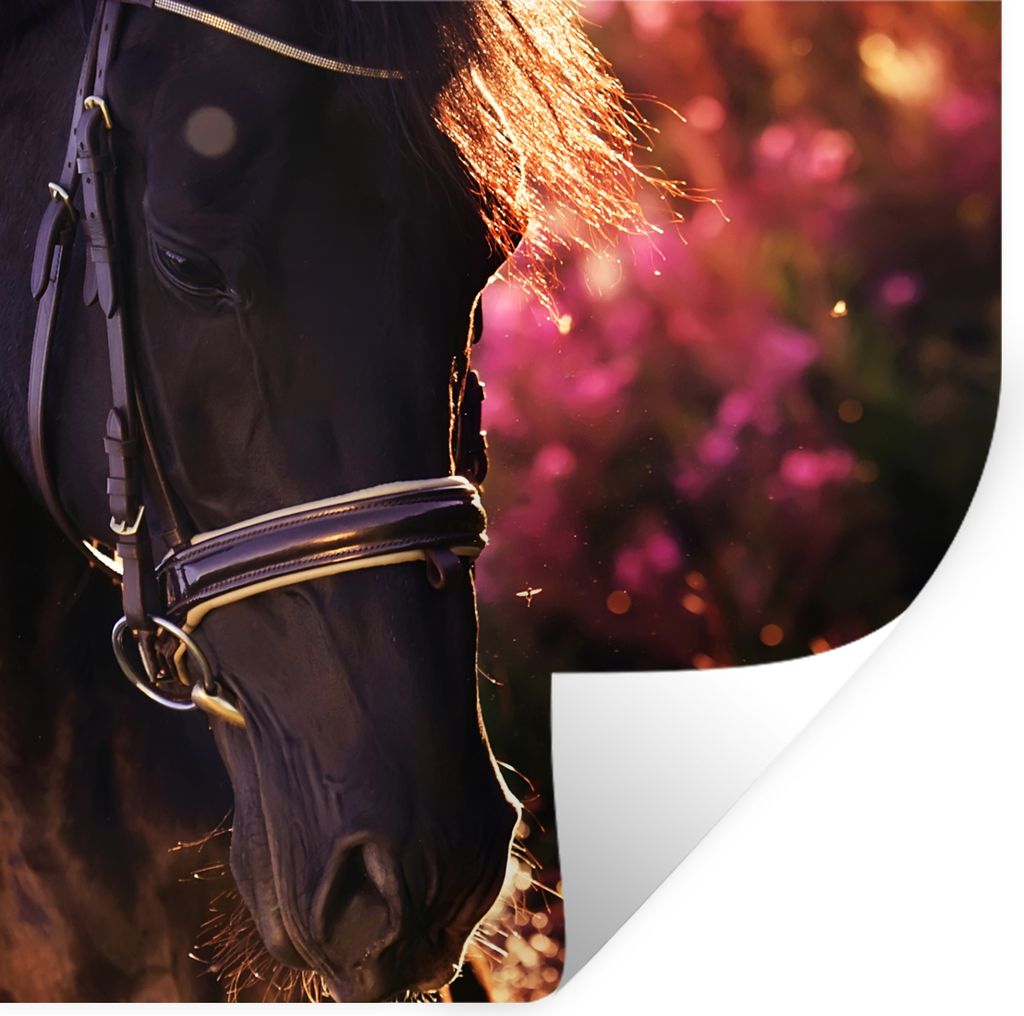 MuchoWow Wandtattoo Wandsticker Wandaufkleber Pferd - Sonne - Porträt 100x100 cm Selbstklebend und Repositionierbar - Wierderverwendbar - Selbst...