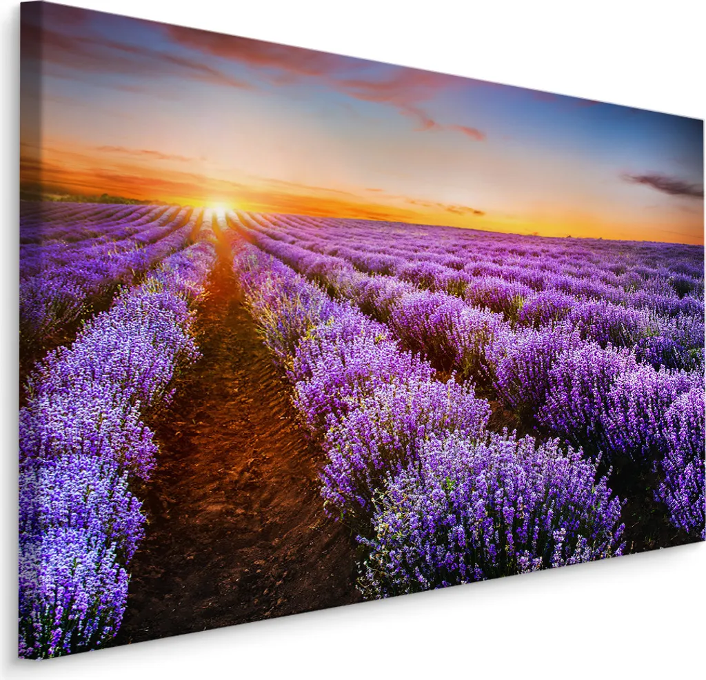 Sogno Provenzale: Carta da Parati 100x70 Lavanda - Tela d'Arte XXL