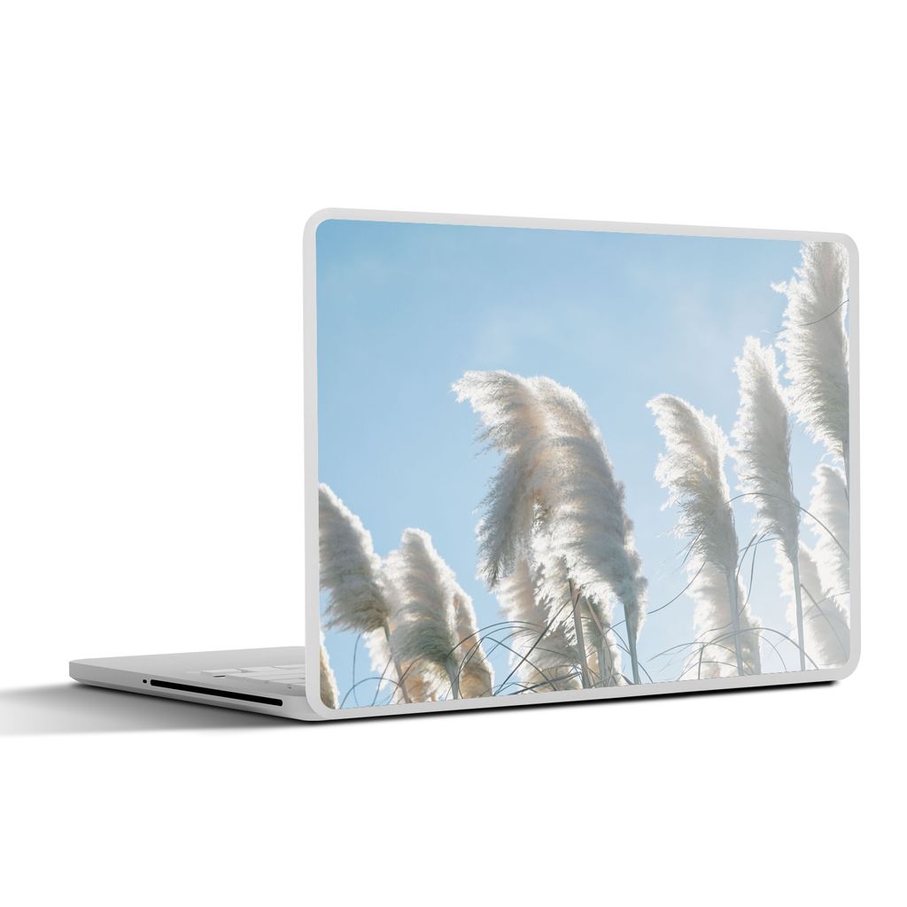 MuchoWow Laptop Aufkleber Sticker Cover Himmel - Gras - Pampasgras 25x18 cm - Laptop-Deko