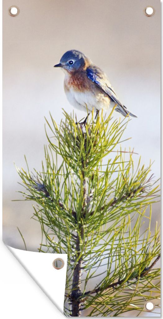 MuchoWow 30x60 cm Outdoor-Poster Gartendeko Sichtschutz Garten Poster für den Garten Vogel auf einem Ast eines Baumes