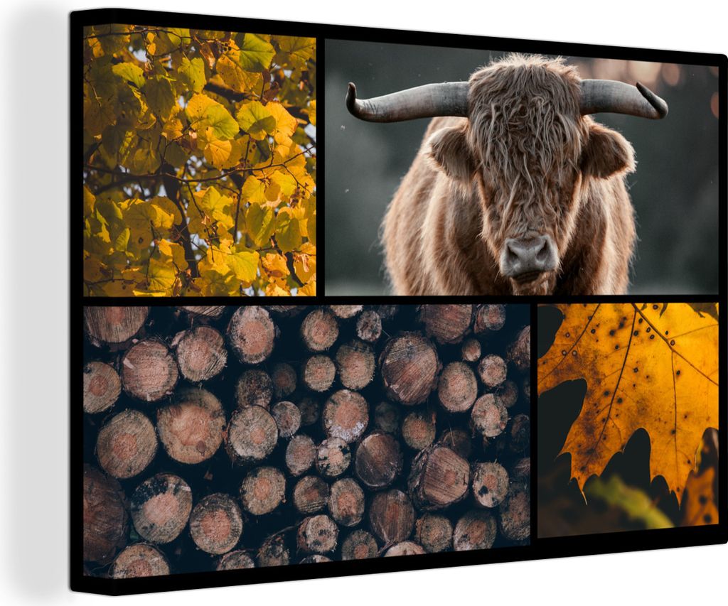 OneMillionCanvasses - Leinwandbilder - 150x100 cm, Schottisches Hochlandrind - Collage - Orange - Holz, Wandbilder Kunstdruck Wanddekoration