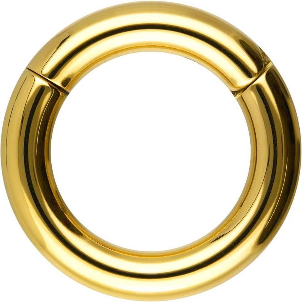 Ohrpiercing, Nasenpiercing, Septum Piercing Chirurgenstahl Segmentring Clicker Gold Innendurchmesser: 18mm + Stabstärke: 5mm
