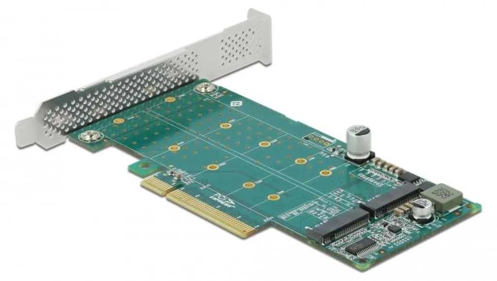 Delock 89045 Carte Contrôleur PCIe 4.0 vers M.2 NVMe Low Profile