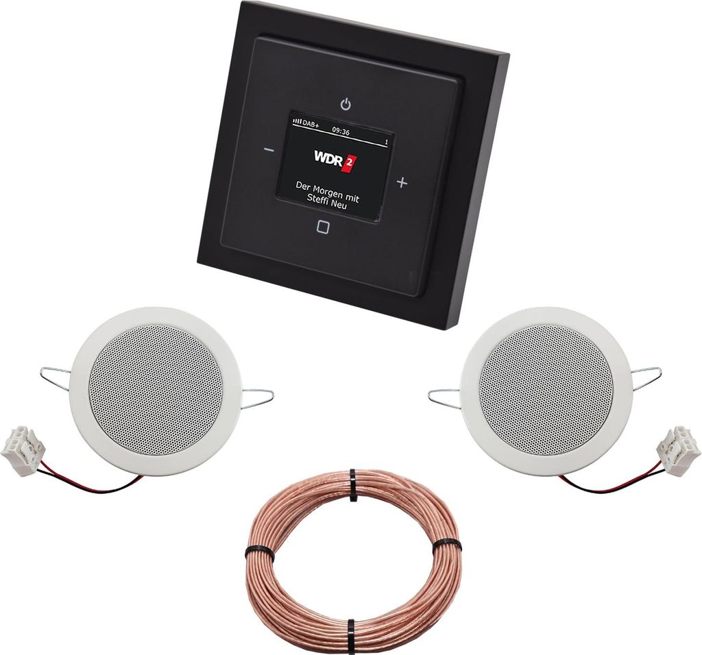 Busch Jäger DAB+ (DAB PLUS) Unterputz Radio 8215U-101 Future Linear Anthrazit, Komplett-Set mit 2 x Deckenlautsprecher Einbaulautsprecher + 20 m L...