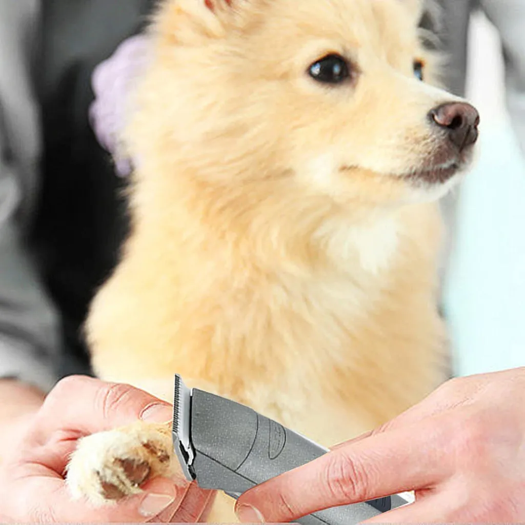 Lame de Tondeuse pour Chiens 5mm Compatible Andis et Wahl A5 en Céramique