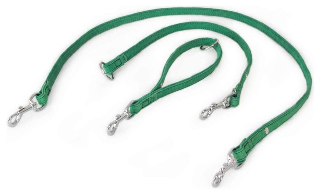 Das Lederband Universal Hundeleine Toronto Leaf Green, Maße: 235 cm / 18 mm