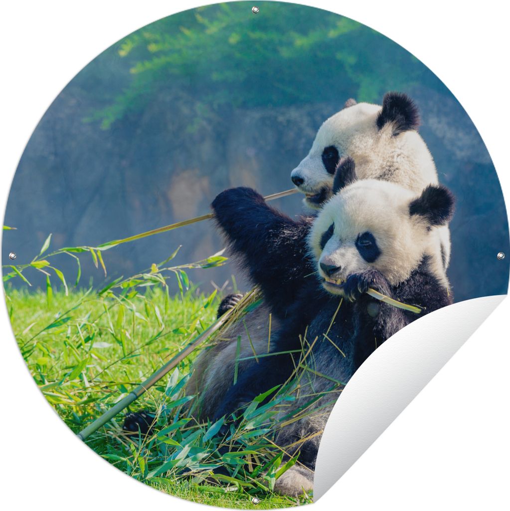 MuchoWow Gartenposter Outdoor-Poster Rund Panda - Bambus - Gras - Tiere Ø 150 cm Gartendeko Rundes Poster draußen