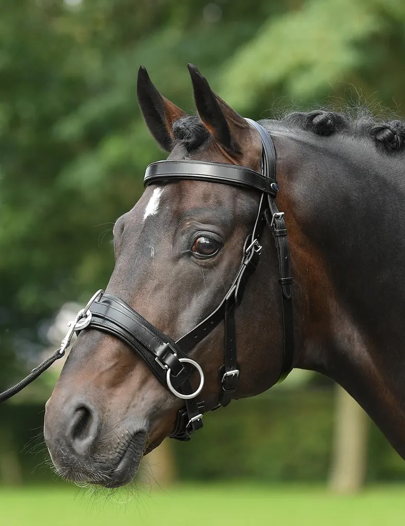 Bridon Busse FIT PRO Poney Noir : Fini les Pressions avec ce Filet Pro