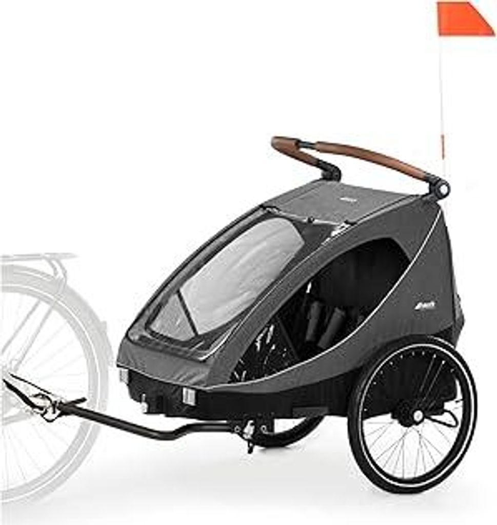 hauck Dryk Duo, Melange Grey - 2in1 Fahrradanhänger & Kinderwagen für 2 Kinder ab 6 Monaten bis 22 kg/120 cm/4 Jahre, für Zwillinge & Geschwiste...
