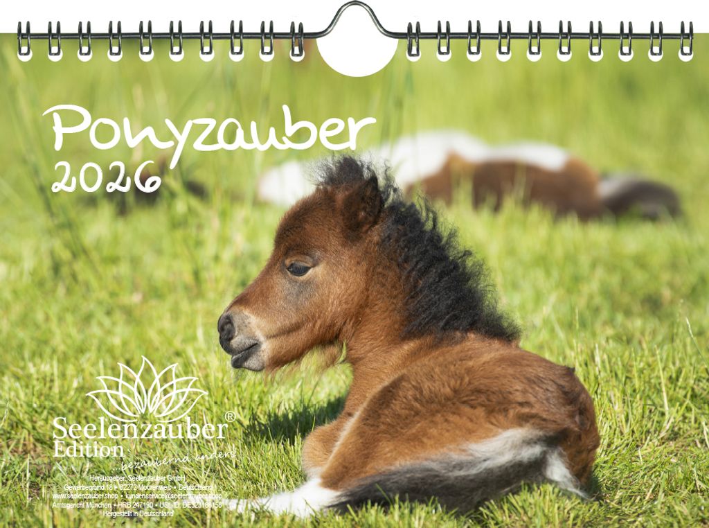 Ponyzauber DIN A5 Kalender für 2026 Pony und Fohlen - Seelenzauber