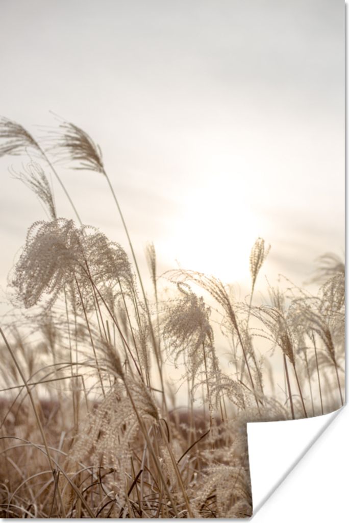 MuchoWow Poster Schilf - Stilleben - Himmel 120x180 cm - Kunstposter