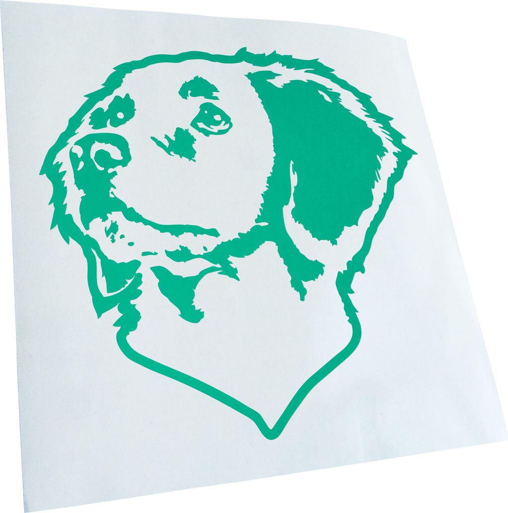 Kiwistar - Autoaufkleber - Brittany Hund - Türkis - 30x27cm - Aufkleber für Auto, Laptop, Fahrrad, LKW, Motorrad mehrfarbig JDM Decal Racing