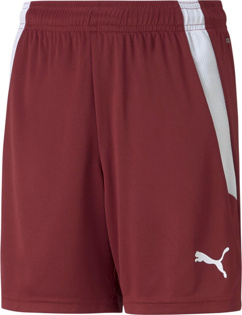 Puma Teamliga Shorts Kinder - Bordeaux