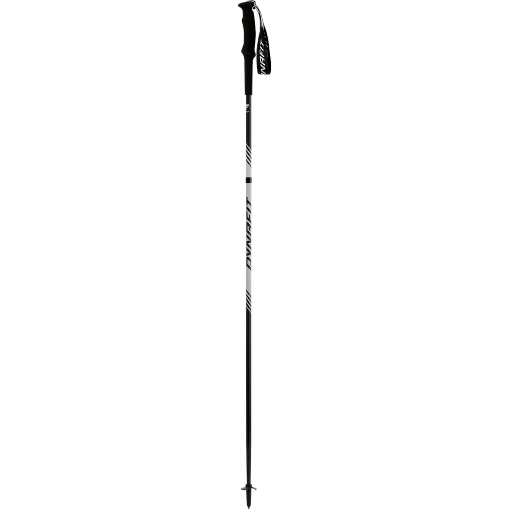 Dynafit Alpine Pro Stock 130 cm en carbone léger et résistant nimbus