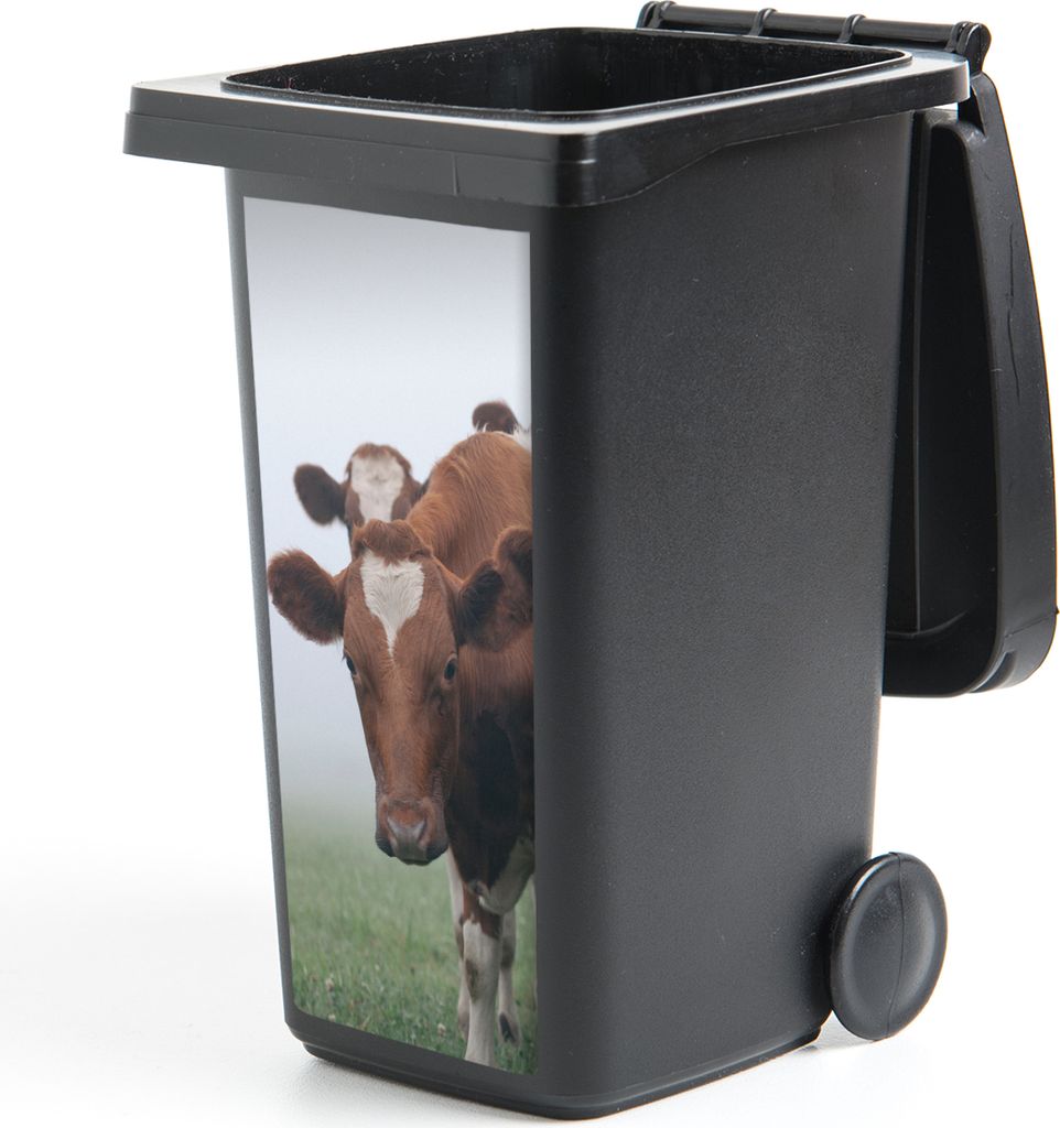 MuchoWow Mülltonnenaufkleber Kühe - Braun - Nebel 38x80 cm - Behälteraufkleber - Mülleimer-Aufkleber - Container-Aufkleber