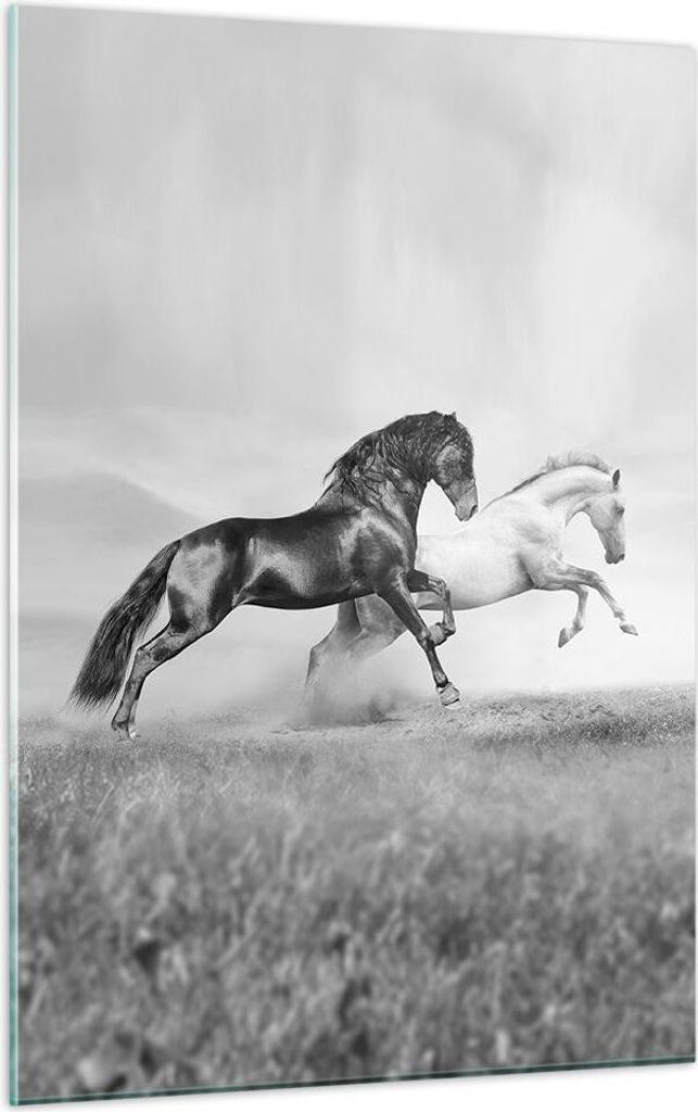 Bilder auf glas - Einteilig - Pferde Tiere Galopp Wiese - 50x70cm - Glasbilder - Wandbilder - Bilder - zum Aufhängen bereit - Wanddekoration aus G...