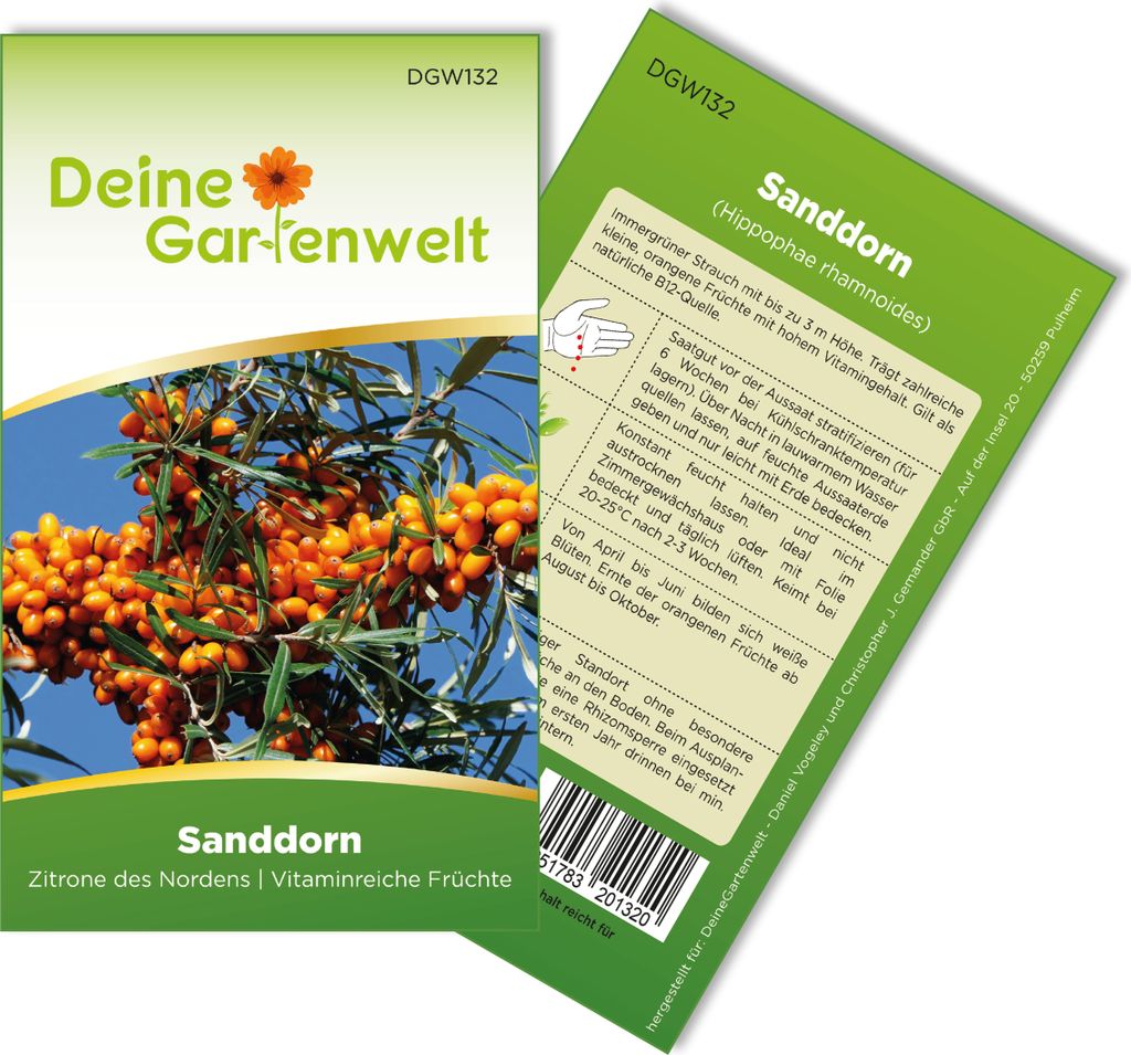 Sanddorn  Samen - Hippophae rhamnoides - Sanddornsamen - Produktbild 