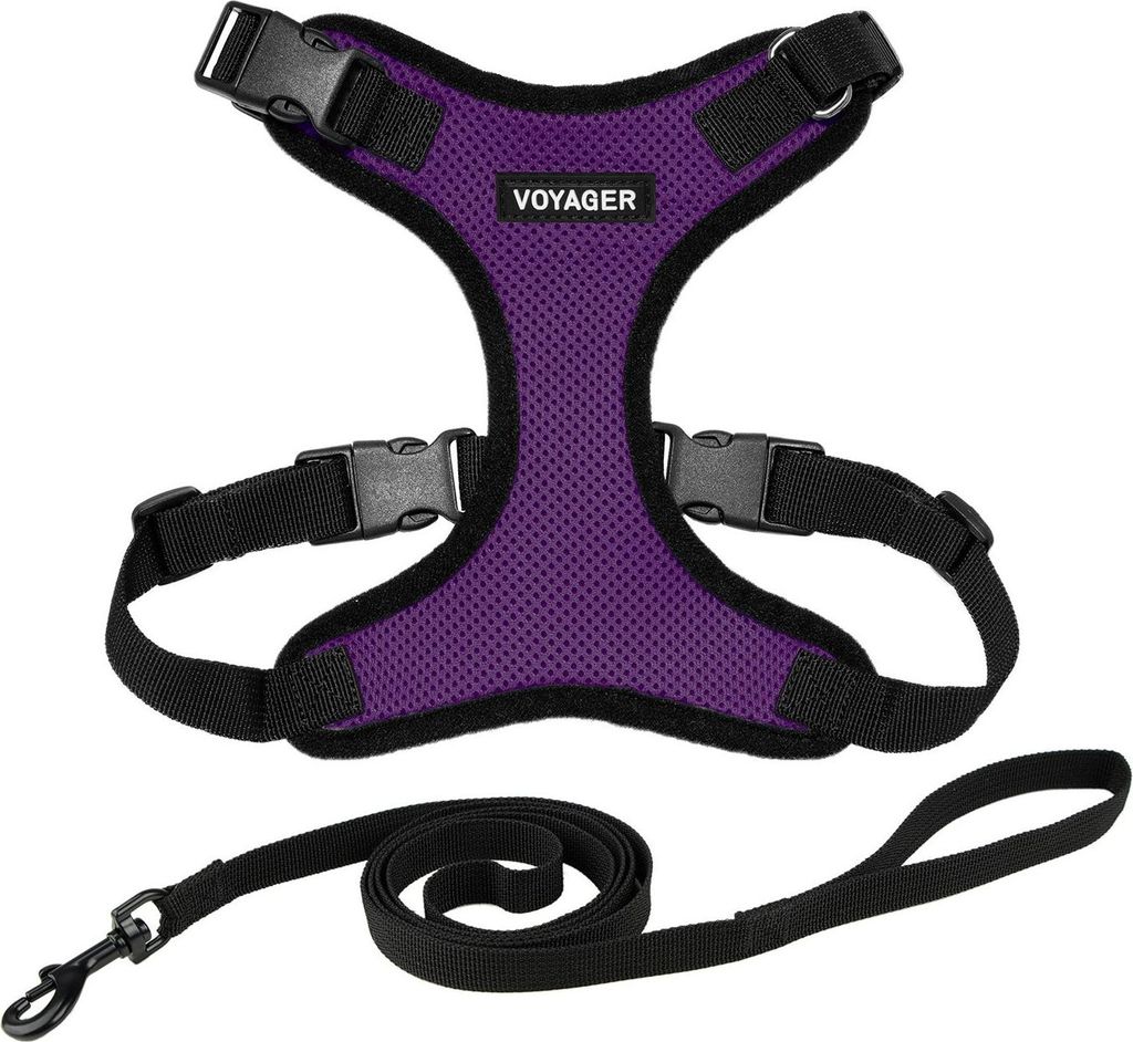 Voyager Step-in Lock Katzengeschirr und reflektierende Katzenleine mit Neoprengriff by Best Pet Supplies - Unterstützt kleine, mittelgroße und gr...