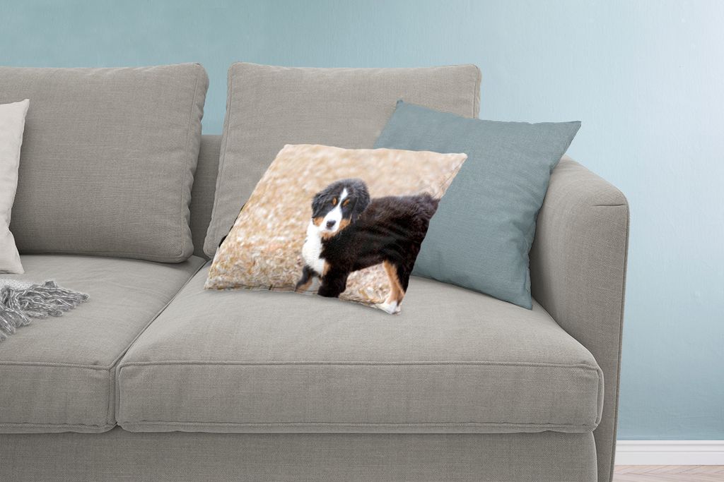 MuchoWow Zierkissen Sofakissen Wohnzimmer Dekokissen 60x40 cm Berner Sennenhund Welpe am Morgen - Kopfkissen - Polster mit Foto