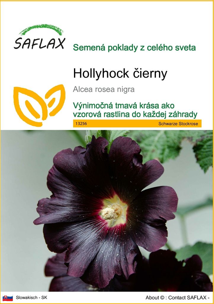 SAFLAX - Hollyhock čierny - Alcea rosea nigra - 100 Semená Obrázok produktu 