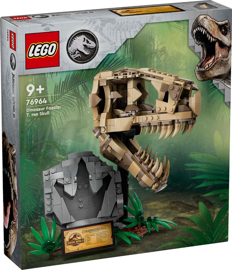 Fossiles de dinosaures : le crâne du T-Rex Image du produit 